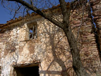 foto: Guilermo Baixauli marzo 2006