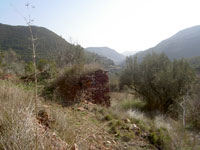 foto: Guilermo Baixauli marzo 2006