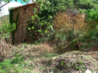 Molino de arriba 2006