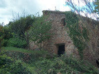 Molino de arriba 2006
