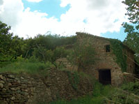 Molino de arriba 2006