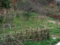 Fue en su d&iacute;a la balsa del molino que se llenaba por el cauce del rio