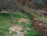 Tejas originales del molino. &iquest;donde iran?