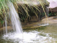 DETALLE DEL RIO JUNTO A LA FUENTE EL ZURO