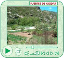 La huerta