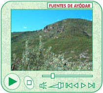 Montaña y pueblo